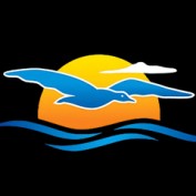 beachlimovietnam profile image