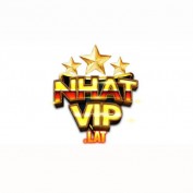 nhatviplatt profile image