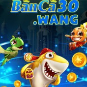 banca30wang profile image