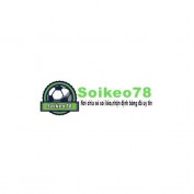 vinsoikeo profile image