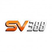 sv3888space profile image