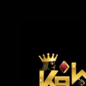k9winvncom profile image