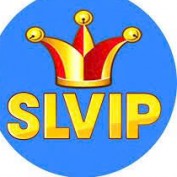 Slvip profile image