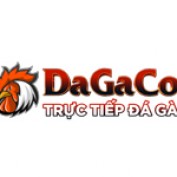dagatructiepcc profile image