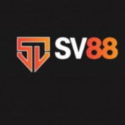 sv88thestity profile image