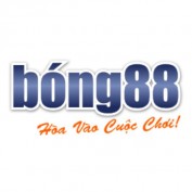 nhacaibong88vn profile image