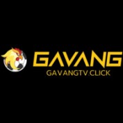GaVangTV Click profile image