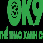 ok9itcom1 profile image