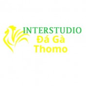 dagainterstudio profile image