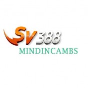 sv388mindincambs profile image