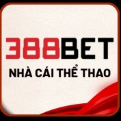 three eight eight bet profile image