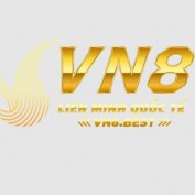 vn8best profile image
