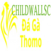 dagachildwallsc profile image