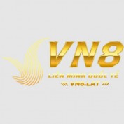 vn8lat profile image