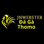 dagajnwebster profile image