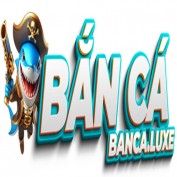 bancaluxe profile image