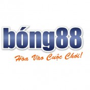 nhacaiuytinbong88 profile image