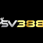 vnsv3888com profile image