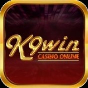 k9winlocker profile image