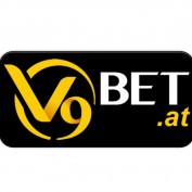 v9betatvn profile image