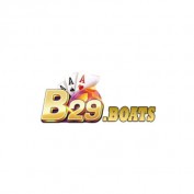 b29boats profile image