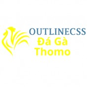 dagaoutlinecss profile image