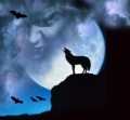 Werewolfs and Vampires