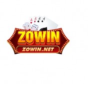 zowinnnet profile image