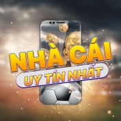 nhacaiuytinnhatnet profile image
