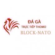 dagablocknato profile image