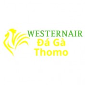 dagawesternair profile image