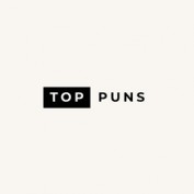 toppunscom profile image