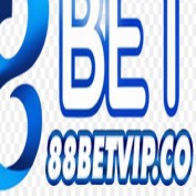 betvipco profile image