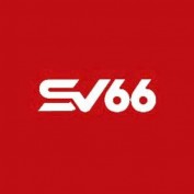 xsv66club profile image