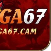 ga67cam profile image