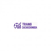 trangcacuocbongdaone profile image