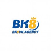 bk8vnagency profile image