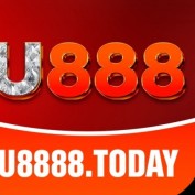 u8888today profile image