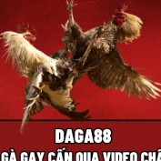 dagalat profile image