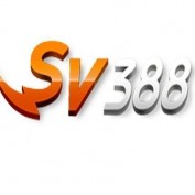 mitossv388net profile image