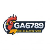 ga6789financee profile image