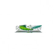 dualeotrme profile image