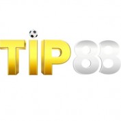 audamtip88 profile image