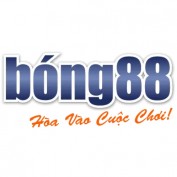 bong88company profile image