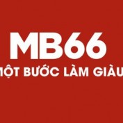mb66vncx profile image