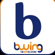 bwingcom profile image