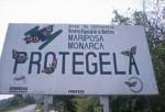 Signs like this are on all roads entering the Sanctuary. They say "Protect the butterflies"