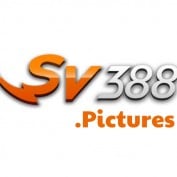 sv388pictures profile image
