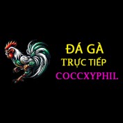 dagacuadaococcxy profile image dagacuadaococcxy profile image