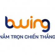 bwinglondon profile image